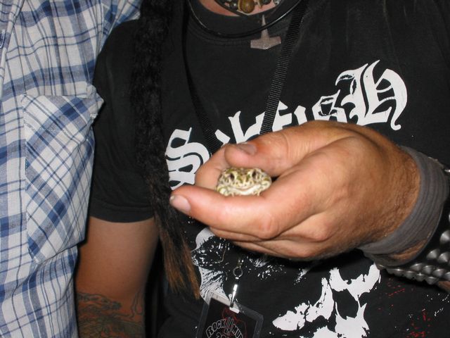 20040709_0036.jpg - click for next picture