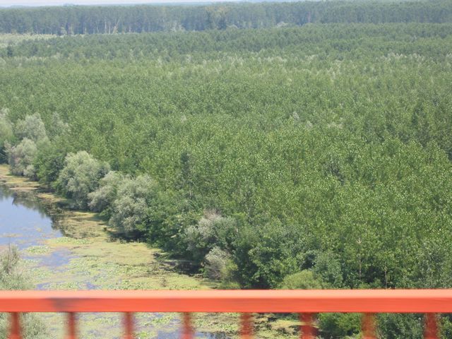 20040708_0010.jpg - click for next picture