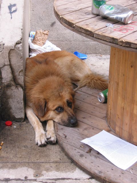 20040807_0084.jpg - click for next picture